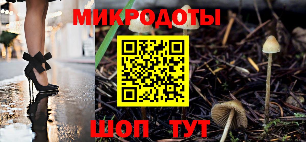 Галлюциногенные грибы Psilocybe Иркутск